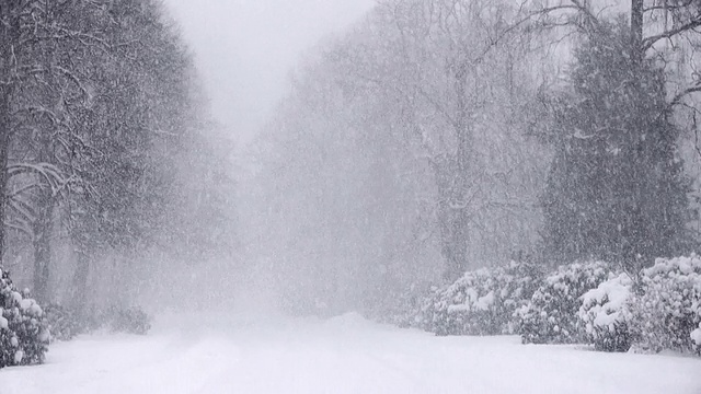 大雪视频素材