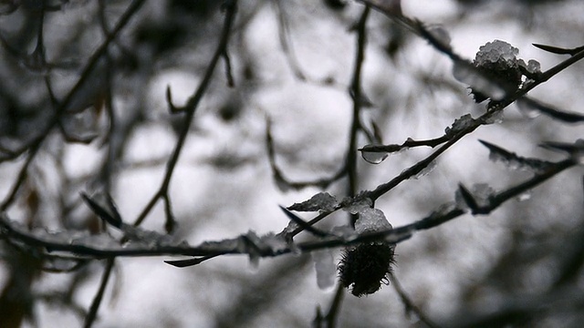 大雪视频素材