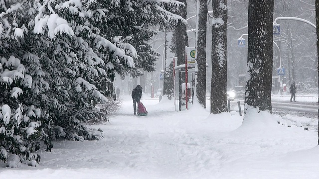 大雪视频素材