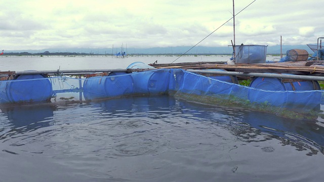 泰国关法瑶湖的养鱼场视频素材