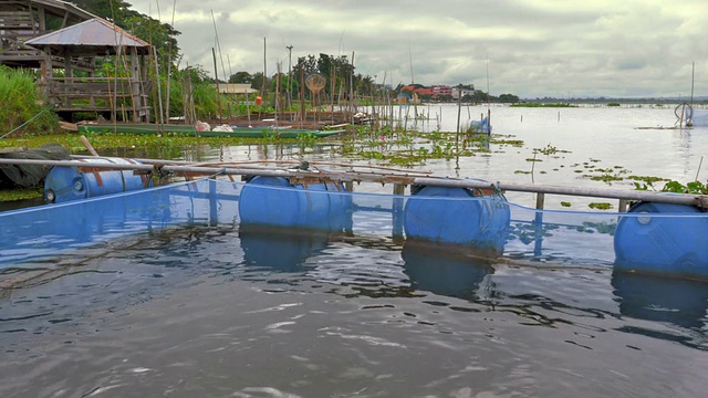 泰国关法瑶湖的养鱼场视频素材