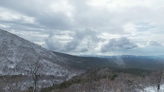 白雪覆盖的Hallasan国家公园和浓雾视频素材