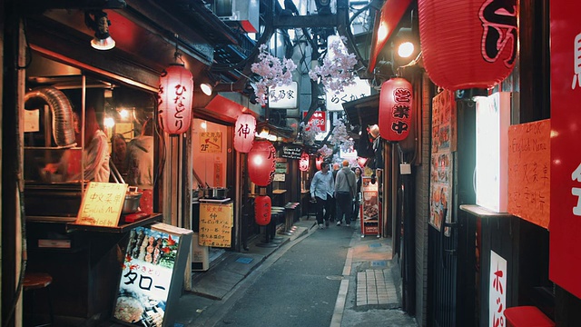 MS，东京横街Omoide记忆巷的日式烧鸡餐厅视频素材画面1