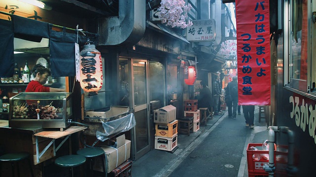 MS，东京横街Omoide记忆巷的日式烧鸡餐厅视频素材画面1