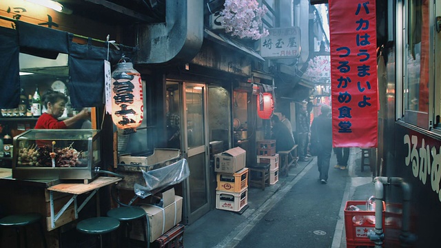 MS，东京横街Omoide记忆巷的日式烧鸡餐厅视频素材画面2