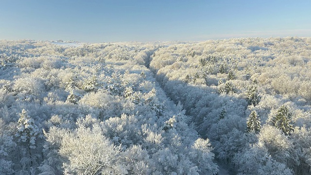 空中公路穿过寒冷的森林视频素材