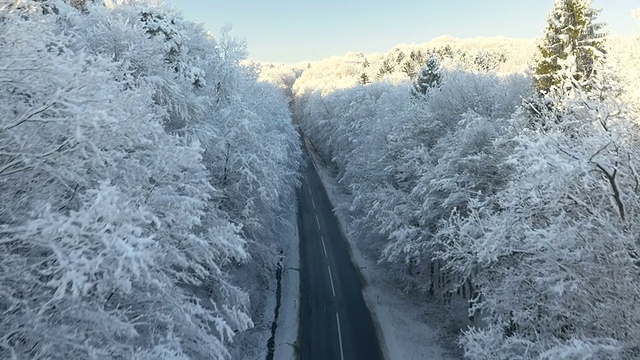 空中公路穿过寒冷的森林视频素材