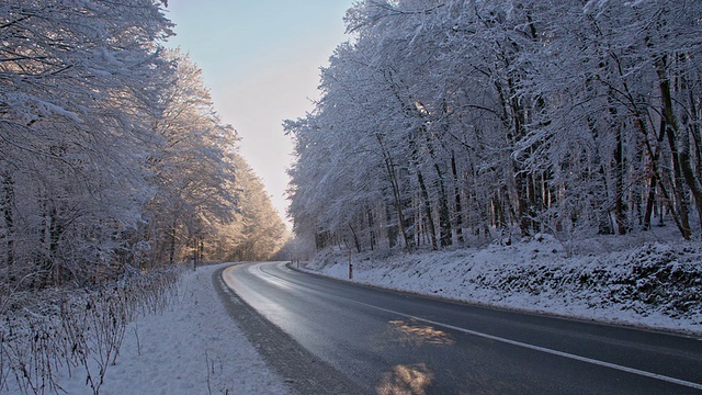 慢工道雪树环绕视频素材