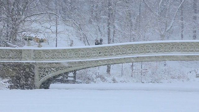 PAN相机在下雪的时候捕捉到了结冰的湖面和被雪覆盖的弓桥。由于温度低，湖水完全结冰了。视频素材