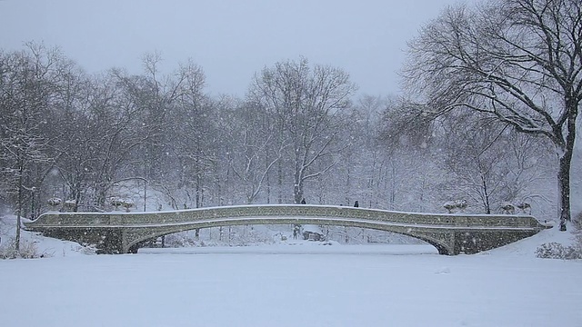 相机捕捉到了冰雪覆盖的湖面和弓桥。人们在下雪的时候走在桥上。由于温度低，湖水完全结冰了。视频素材