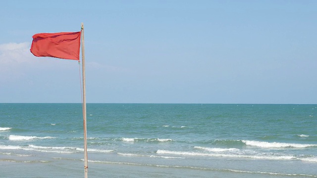 红旗视频素材画面1