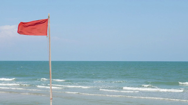 红旗视频素材画面4