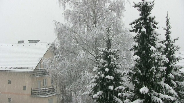 高清:雪暴风雪视频下载