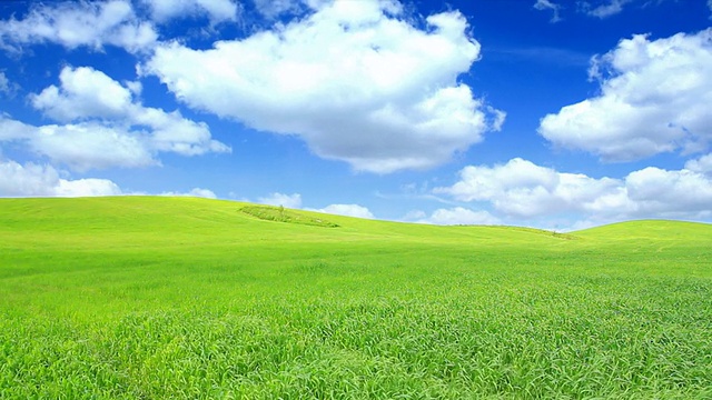 绿色的田野和蓝色的天空高清视频素材画面1