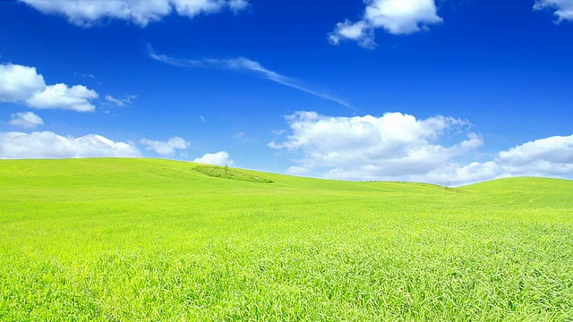 绿色的田野和蓝色的天空高清视频素材画面2