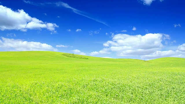 绿色的田野和蓝色的天空高清视频素材画面3