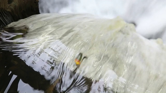 水流视频素材