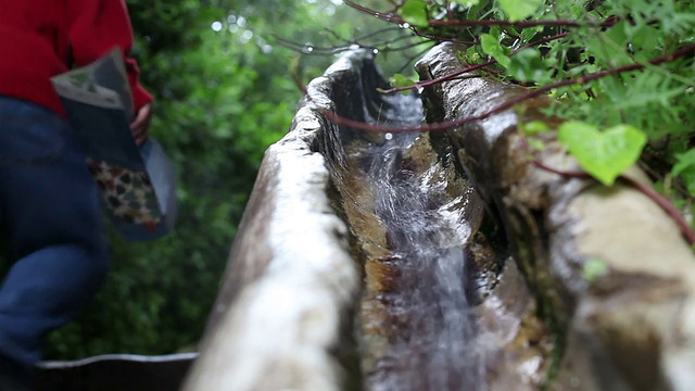 水流视频下载