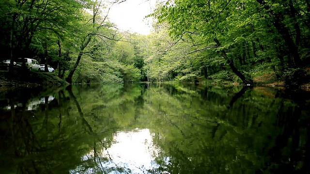 湖泊和森林视频素材