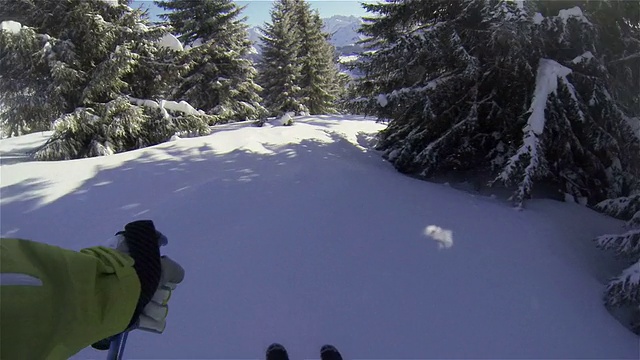 美丽的POV Backcountry滑雪通过树木视频素材