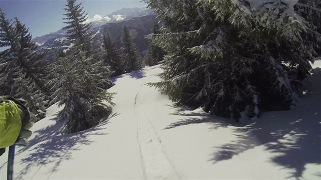 野外滑雪之旅滑雪。新鲜的雪和阳光。视频下载