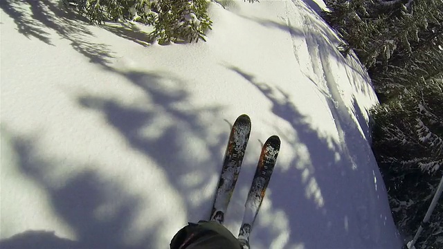 在阳光下滑雪穿过树林视频下载