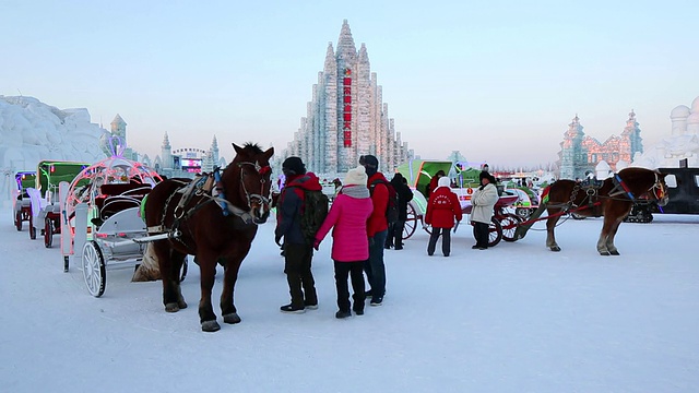 冰雕在哈尔滨冰雪节在黑龙江省，哈尔滨，中国视频素材画面2