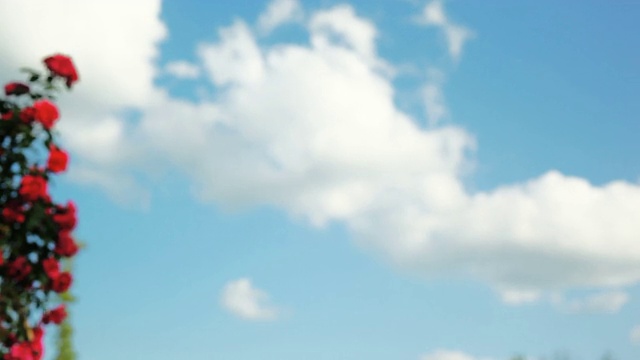 在天空中拿着美国制造英语单词的纸标牌视频素材画面4