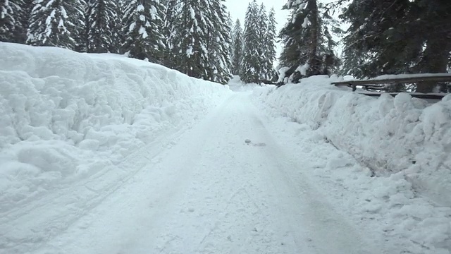 在白雪覆盖的森林路上开车视频素材