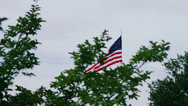 长镜头美国国旗在树外飘扬视频素材