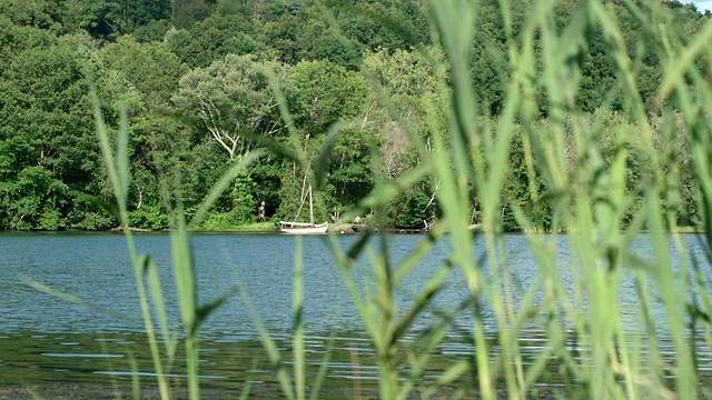 美丽的湖风景视频素材