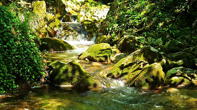 高山流水视频素材