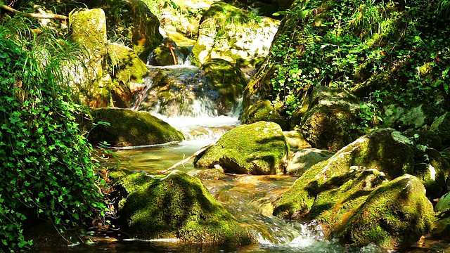 高山流水视频素材