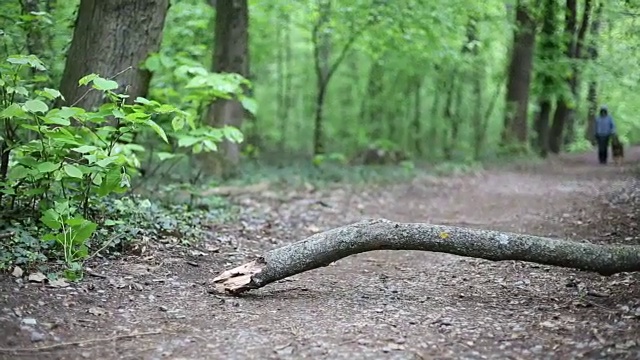 跑步者在大自然中锻炼视频素材