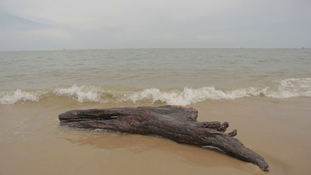 海滩上的木材视频素材