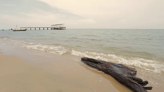 海滩上的木材视频素材