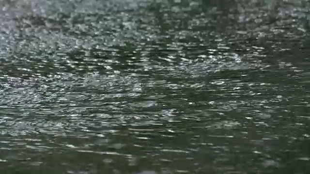 雨巷视频素材