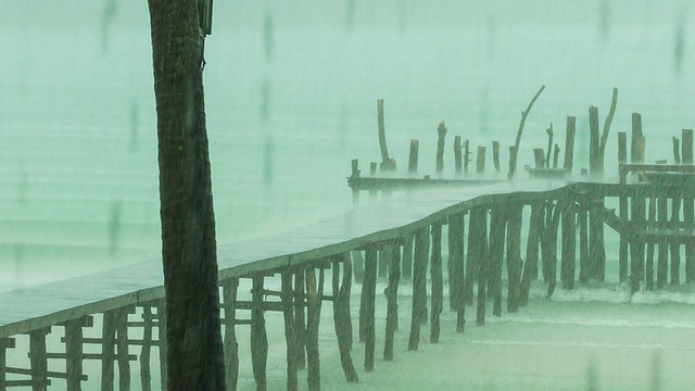 季风暴雨视频素材