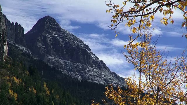 长焦镜头的积雪覆盖的山峰与黄色叶树在风中吹拂在前景。视频素材