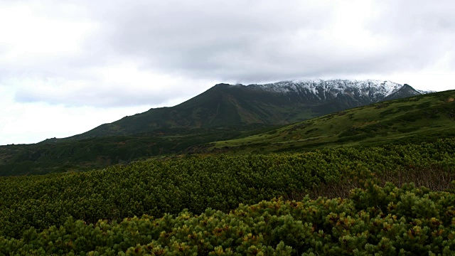 朝霞山秋日落叶tomadake山视频素材