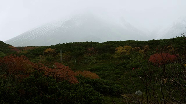 朝霞山秋叶高山植物雨雷视频素材