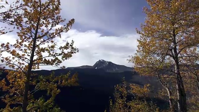 孤零零的参差山顶，前景中有随风飘扬的金叶树。视频素材