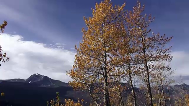 孤零零的参差山顶，前景中有随风飘扬的金叶树。视频素材