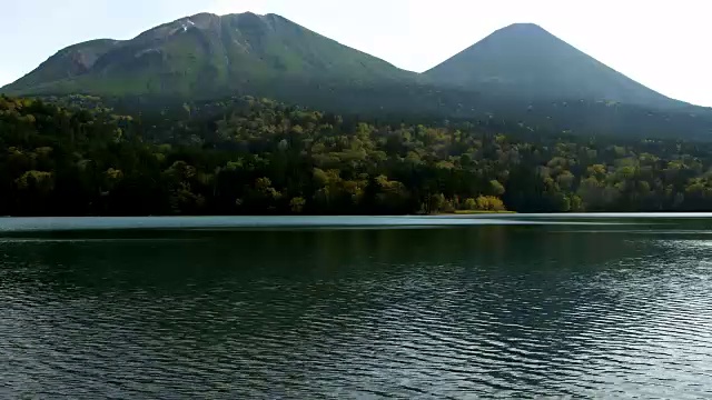 天空淹没了秋天的树叶视频素材