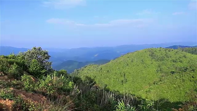 高清平移:森林覆盖的山脉视频素材