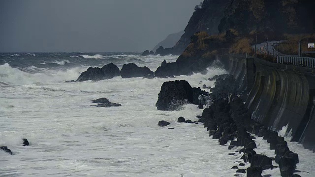 浑水岩区海四足动物日本海视频素材