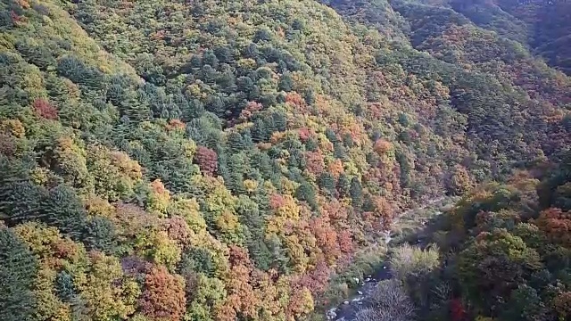 拍摄的是秋天的贡杰山山和山谷视频素材