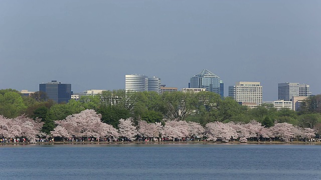 是阿灵顿(Arlington)视频素材