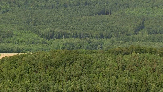 德国巴登符腾堡比辛根的乡村地区和茂密的森林的WS AERIAL PAN视图视频素材