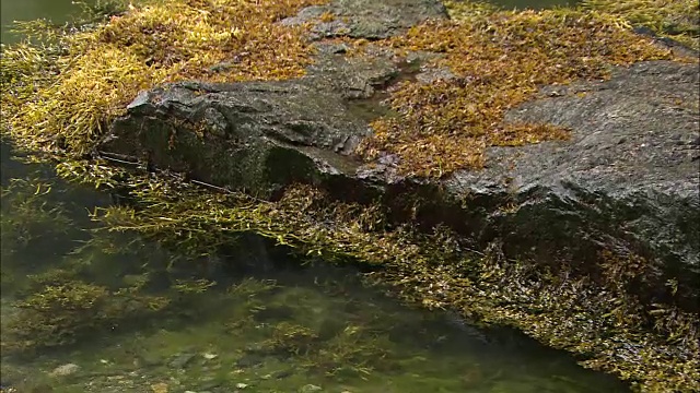 挪威峡湾视频素材